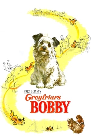 Image Greyfriars Bobby: The True Story of a Dog