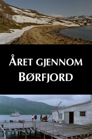 Image Året gjennom Børfjord