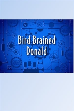 Image Bird Brained Donald