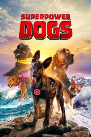 Image Superpower Dogs