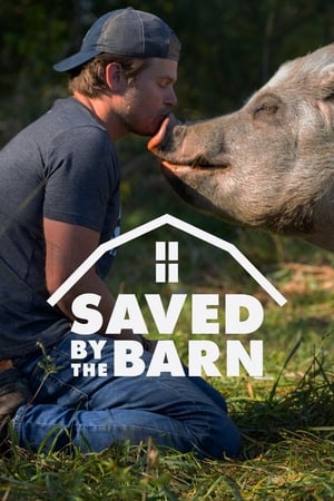 Image Saved By The Barn
