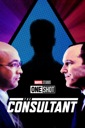 Image Marvel One-Shot: The Consultant