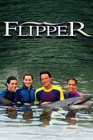 Image Flipper: The New Adventures