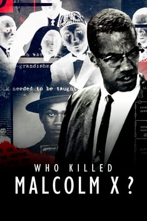 Image Who Killed Malcolm X?