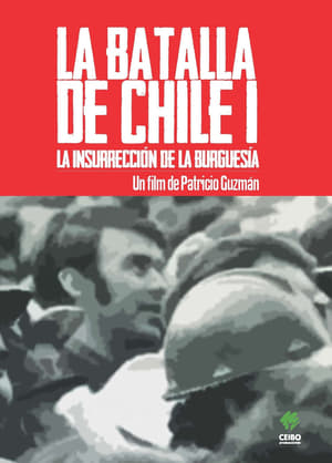 Image Битва за Чили: Часть первая