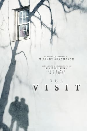 Image The Visit