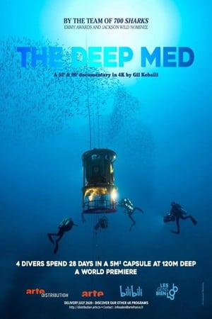 Image The Deep Med
