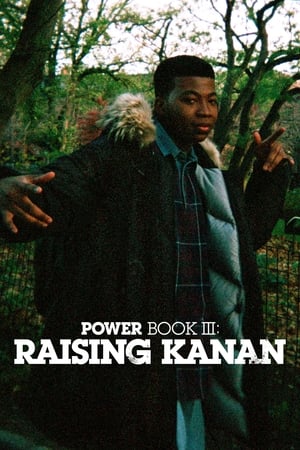 Image Power Book III: Raising Kanan