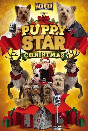 Image Puppy Star Christmas