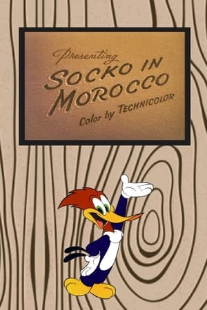 Image Socko in Morocco