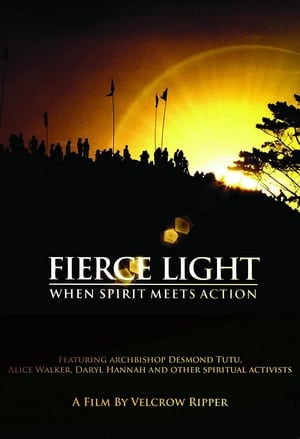 Image Fierce Light: When Spirit Meets Action