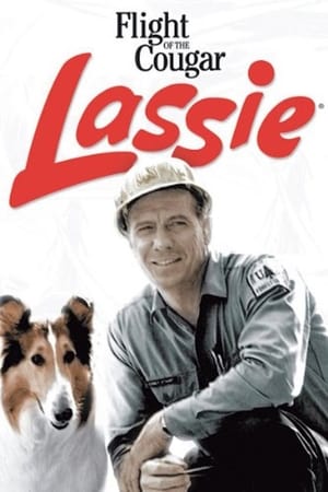 Image Lassie and the Flight of the Cougar