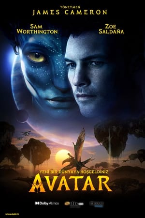 Image Avatar