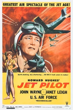 Image Jet Pilot