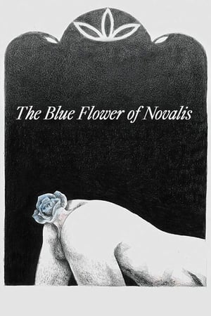 Image The Blue Flower of Novalis
