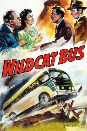 Image Wildcat Bus
