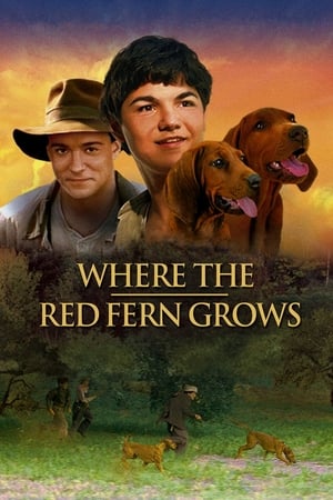 Image Where the Red Fern Grows