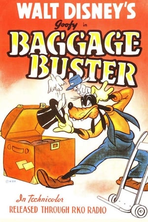 Image Baggage Buster