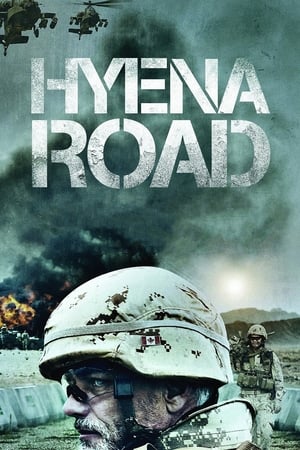 Image Hyena Road
