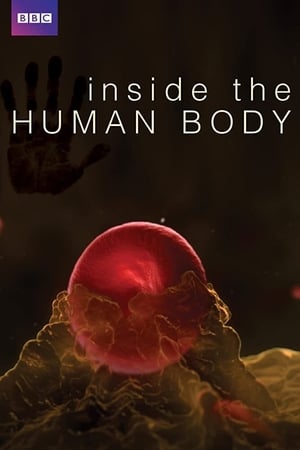 Image Inside the Human Body