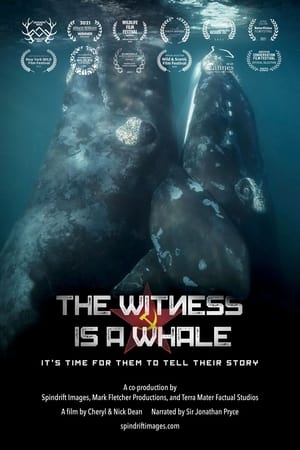 Image The Witness is a Whale