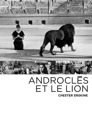 Image Androclès et le Lion