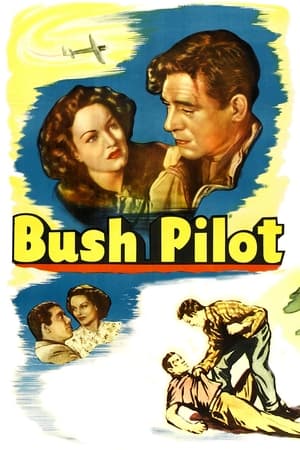 Image Bush Pilot