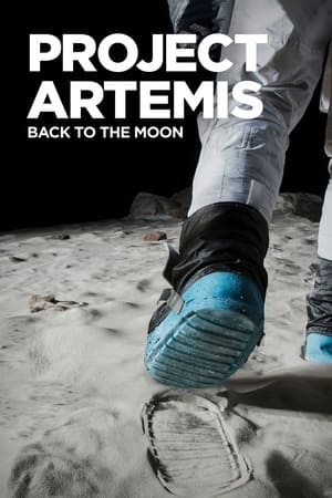 Image Project Artemis - Back to the Moon
