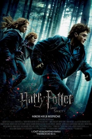 Image Harry Potter a Dary smrti - 1.