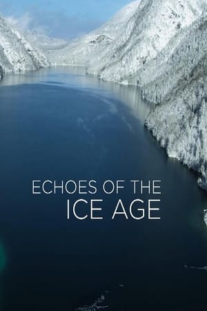 Image Echoes of the Ice Age