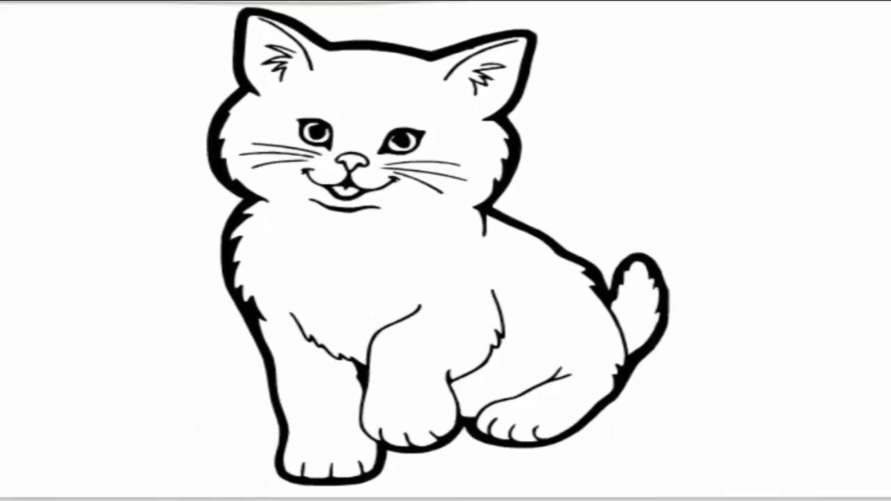 Gambar Kucing Hitam Putih Untuk Diwarnai