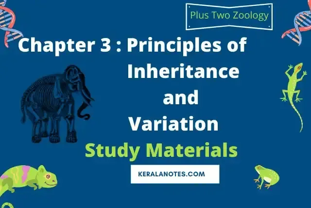 Plus Two Zoology Notes Chapter3 Principles of Inheritance and Variation