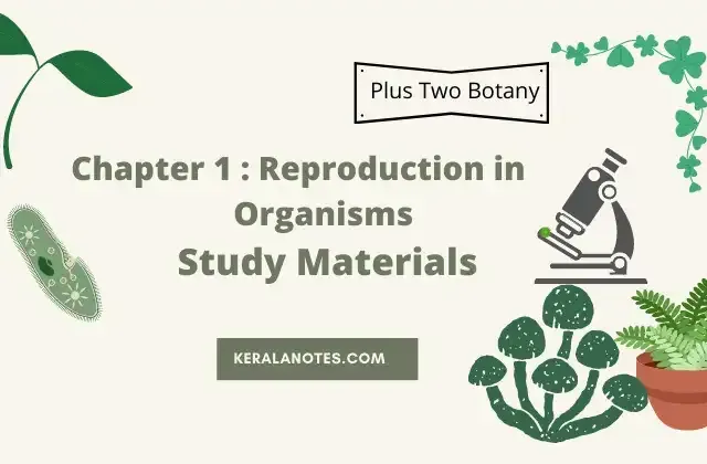 Plus Two Botany Notes Chapter1 Reproduction in Organisms