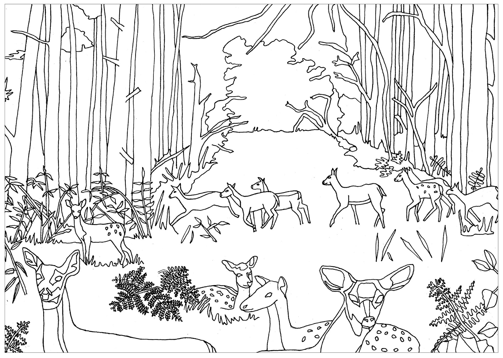 Gambar Binatang Hutan Kartun Hitam Putih