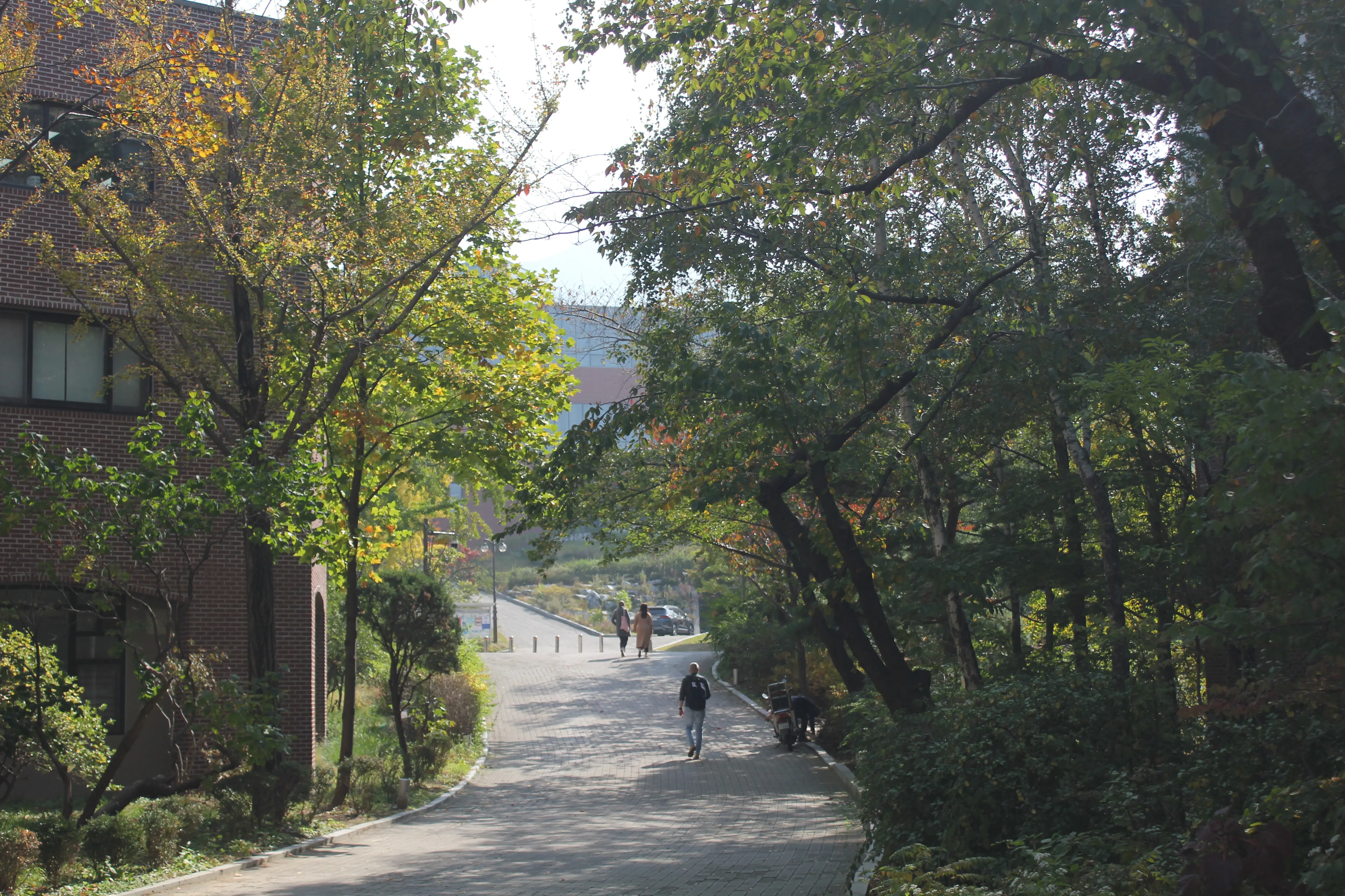 Seoul National University: Jurusan, Biaya dan Beasiswanya