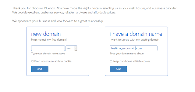 Add your domain with bluehost