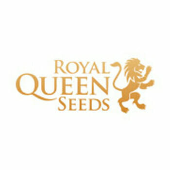 Royal Queen Seeds Promo