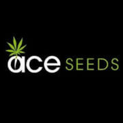 Free Ace Seeds Promo Sale
