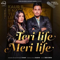 R-Nait,Kaur B - Teri Life Meri Life Mp3 Songs Download