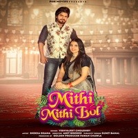 Vishvajeet Choudhry - Mithi Mithi Bol Mp3 Songs Download