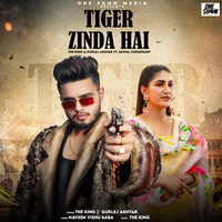 The King,Gurlez Akhtar,Sapna Choudhary - Tiger Zinda Hai Mp3 Songs Download