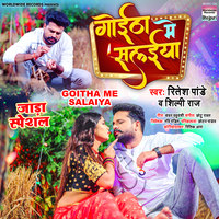 Ritesh Pandey,Shilpi Raj - Goitha Me Salaiya Mp3 Songs Download