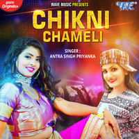 Antra Singh Priyanka - Chikni Chameli Mp3 Songs Download