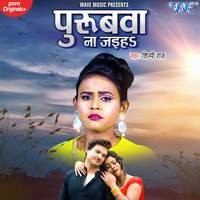 Shilpi Raj - Purubwa Na Jaiha Mp3 Songs Download