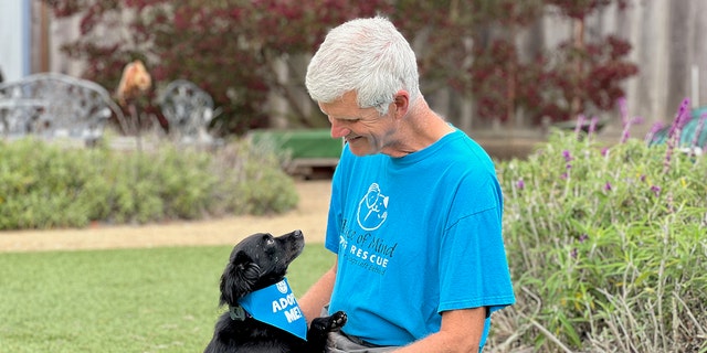 Pompy and his foster dad John (pictured here) are best friends. Pompy likes playing with his toys and with other dogs. 