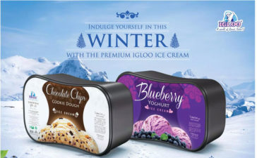 Igloo Ice Cream 9