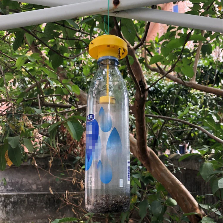 Shop for Practical Hanging Pest Trap in Bottle Shape to Trap Fruit ...