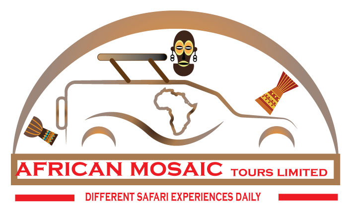 african mosaic tours and safaris