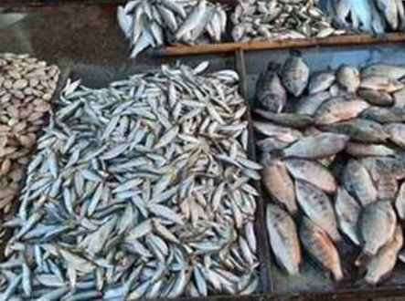 ارتفاع أسعار السمك البلطي وانخفاض البوري والجمبري في سوق العبور اليوم 