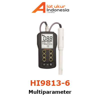 Temperature pH Meter HANNA INSTRUMENT HI9813-6